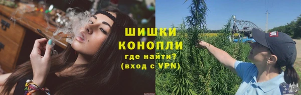 apvp Горнозаводск