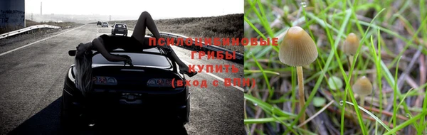 гашишное масло Горно-Алтайск