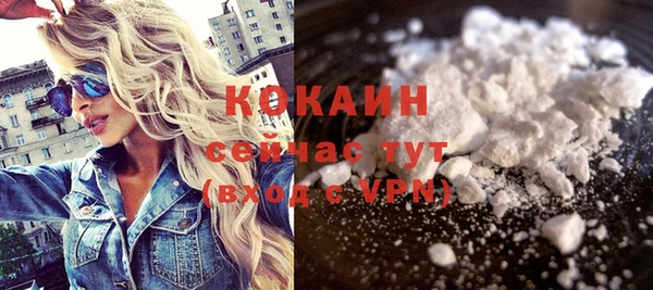 амф Горняк