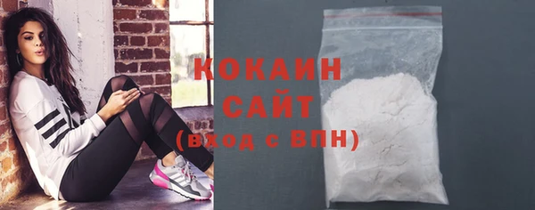 амф Горняк