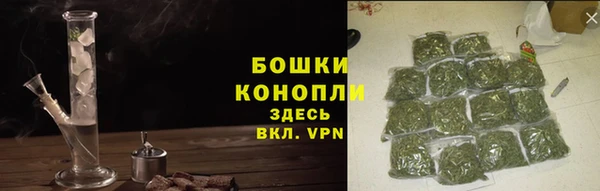 амф Горняк