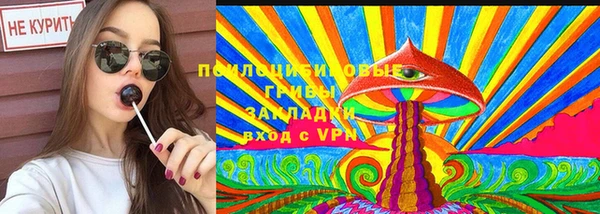 амф Горняк