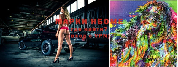 амф Горняк