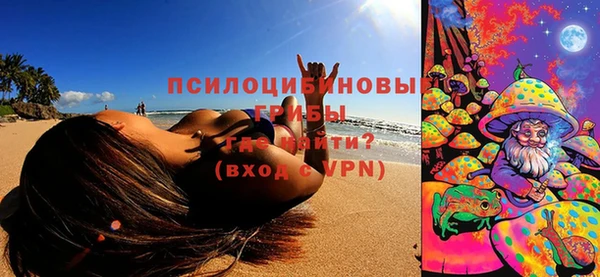 apvp Горнозаводск