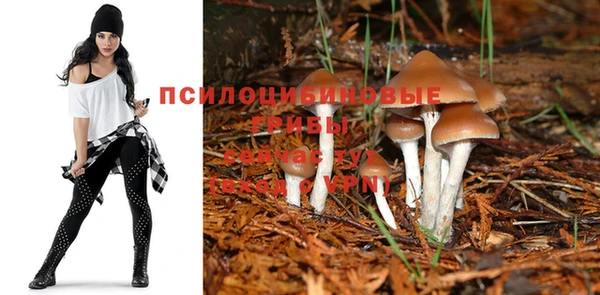 apvp Горнозаводск