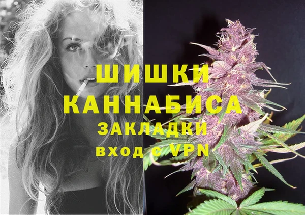 apvp Горнозаводск