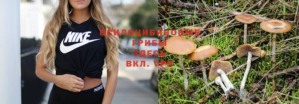амф Горняк