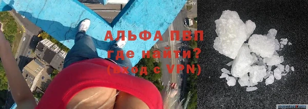 амф Горняк