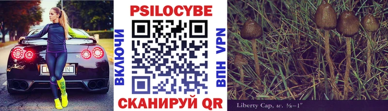 Купить закладки  Болотное  Галлюциногенные грибы GOLDEN TEACHER 