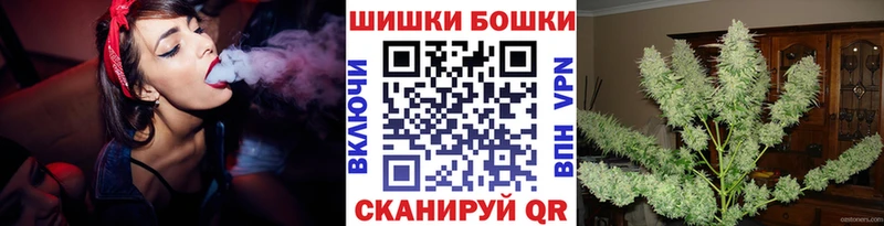 Конопля SATIVA & INDICA  Купить  Болотное 
